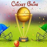 Online-Cricket-Spiele mit Ihren Freunden spielen