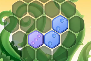 Grüne Schildkröte mit sechseckigem Panzer und blauen sowie violetten Spielsteinen darauf