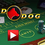 Red Dog Eine einfache Poker-Variante des reinen Glücks!