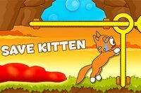 Save Kitten
